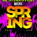 Dj Stereovert - Mini Spring 20