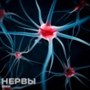 BMV - НЕРВЫ ()