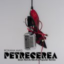 Roxana Mag - Petrecerea (Sean Norvis Electro Popular Remix)