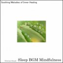 Sleep BGM Mindfulness - Mystical Echoes of Inner Healing (Original Mix)