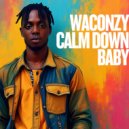 Waconzy - CALM DOWN BABY (RADIO EDIT)