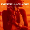 Troy Klass - Deep Point (Original Mix)