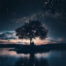 Ambient Chill & The Quiet Collective & Music for Balance - Quiet Tunes for Resting