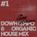 Cine Dxnce - Downtempo & Organic House Mix #1 ()
