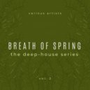 Accurate - Move (Original Mix)