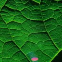 фиолетовый замок - источник первый ()