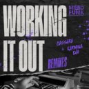 Cassara, Karmina Dai, Lenny Fontana - Working It Out (Lenny Fontana \'Classic House\' Remix)