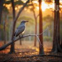 Tmsoft\'s White Noise Sleep Sounds - Cuckoo Bird Calls (Loopable No Fade)