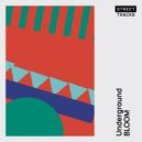 Bloom - Underground (Original Mix)