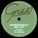 Somersault - Redrum (Original Mix)