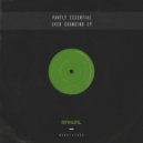 Partly Essential - Ever Changing