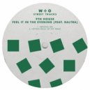 9th House feat. Baltra - Feel it In The Evening (feat. Baltra)