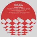 Passerines - The Mountain in Front Of Us (Original Mix)