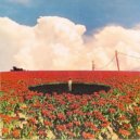 own path - Intro (DVD)