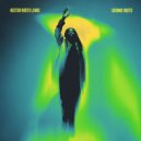 Hector Roots Lewis & Johnny Cosmic - Celebration