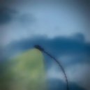 DenisonK - Heavenly tear ()