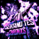 Chronxs - SENTANO TES! (Super Slowed)
