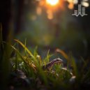 Tmsoft\'s White Noise Sleep Sounds - Gecko Chirps, Crickets, and Frogs (Loopable No Fade)