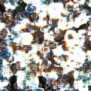 SPECTRAL NERVE - THE ORACLE