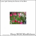 Sleep BGM Mindfulness - Neural Echoes of Hope and Solace
