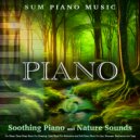 Sum Piano Music & Benjamin Shadows & Deep Sleep Music Experience - The Most Relaxing Piano Music ()