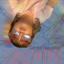 LILIPUTI - Correct calculation ()