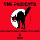 The Peelcats - Time Machine (Original Mix)