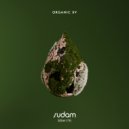 Fanis Stam - What you gonna do (Original Mix)