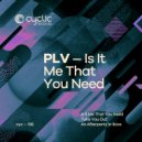 plv - An Afterparty In Ibiza