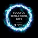 JM Grana - Soulful Sensations 2025 Vol.03 ()