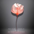 Amir Telem - Rising Up (James Harcourt Remix)