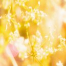 фиолетовый замок - растворение ()