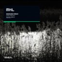 Mariano Ribas - Synchrony (Original Mix)
