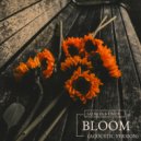 Sadbois & UNDY - Bloom