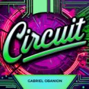 Gabriel Obanion - Circuit (Original Mix)