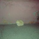 HORVS - THEIR SOULS ()