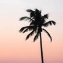 Malter TAC - How much longer ()