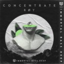 RØY - Concentrate (Original Mix)
