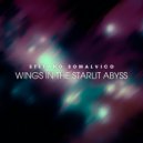 Stefano Somalvico - Wings in the Starlit Abyss ()