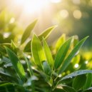 Relaxing Music For Drawing & Drink Bar Chillout Music & ASMR Rain Sound - Gentle Pulse ()