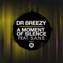 Dr Breezy feat. S.A.N.E - A Moment Of Silence (Original Mix)