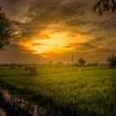 Osc Project - Afternoon and Night (Version 2)