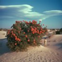 Sambakaroan - wand with determination ()