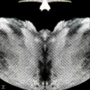 nowordcdx - angel choir ()