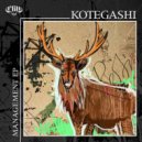 Kotegashi - Crisis Management