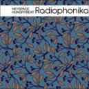 Heyspace & HungryBeat - Radiophonika #165 ()