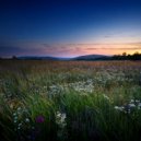 Binaural Lazers & Fire Place Sounds & Crickets from Brazil - The Moment Of Triumph ()