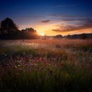 Dreamy Music Moments & Fire Sounds Sleep & Calm Sleep Music - Resting In The Quiet Moon