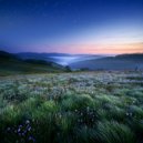 Soothing ASMR & Flamespad Nature Fire Sounds & Owl Sounds Recordings - Stars Across The Sky