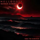 Mellodose & Nathan Aurora - Thru the Darkness ()